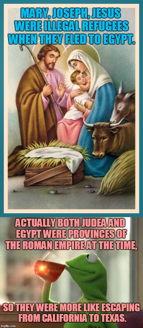 Liberal Common Core History Fail: But That's None of My Business | MARY, JOSEPH, JESUS WERE ILLEGAL REFUGEES WHEN THEY FLED TO EGYPT. ACTUALLY BOTH JUDEA AND EGYPT WERE PROVINCES OF THE ROMAN EMPIRE AT THE TIME, SO THEY WERE MORE LIKE ESCAPING FROM CALIFORNIA TO TEXAS. | image tagged in funny,meme,illegals,border,jesus,history | made w/ Imgflip meme maker