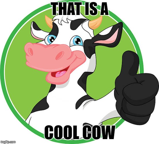 THAT IS A COOL COW | made w/ Imgflip meme maker