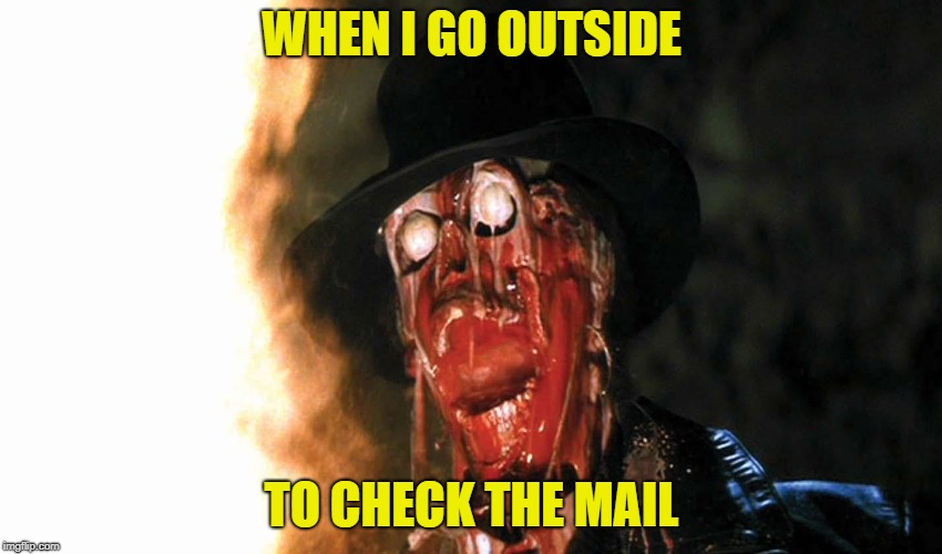 Pretty Warm Outside | WHEN I GO OUTSIDE; TO CHECK THE MAIL | image tagged in funny memes,hot,summer,sunshine,melting,indiana jones | made w/ Imgflip meme maker