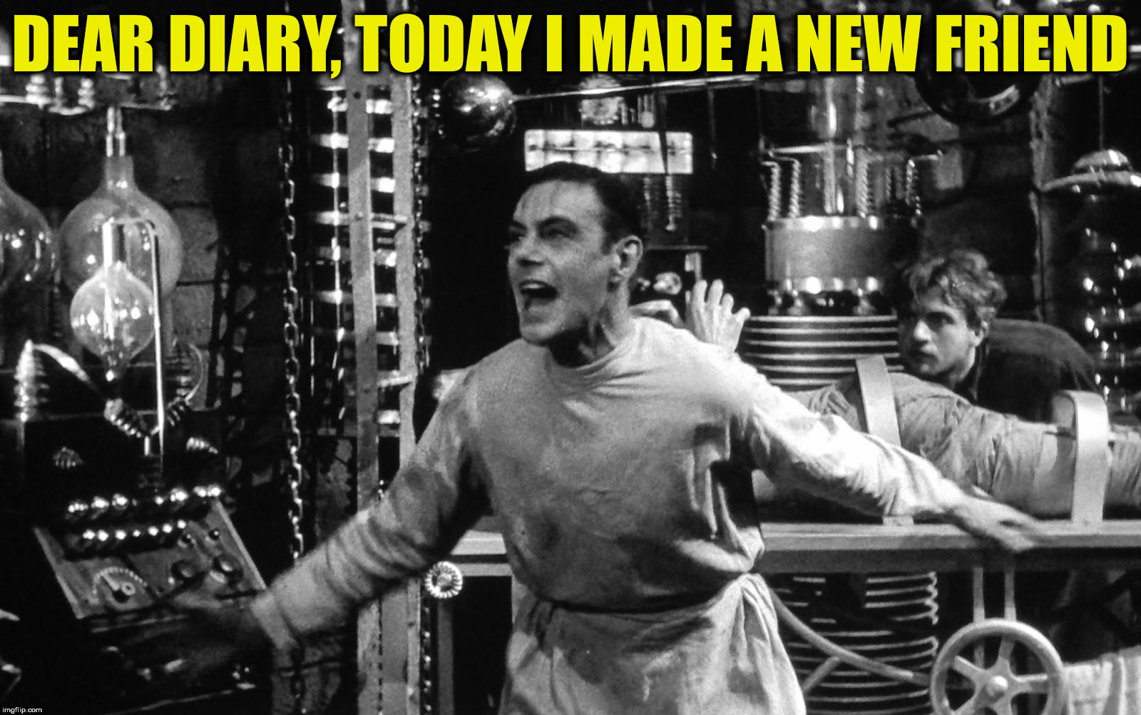 Sometimes it gets boring in the lab... | DEAR DIARY, TODAY I MADE A NEW FRIEND | image tagged in dr frankenstein,diary entry,friendship is magic | made w/ Imgflip meme maker