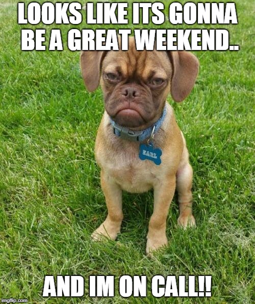 Grumpy Puppy Earl | LOOKS LIKE ITS GONNA BE A GREAT WEEKEND.. AND IM ON CALL!! | image tagged in grumpy puppy earl | made w/ Imgflip meme maker