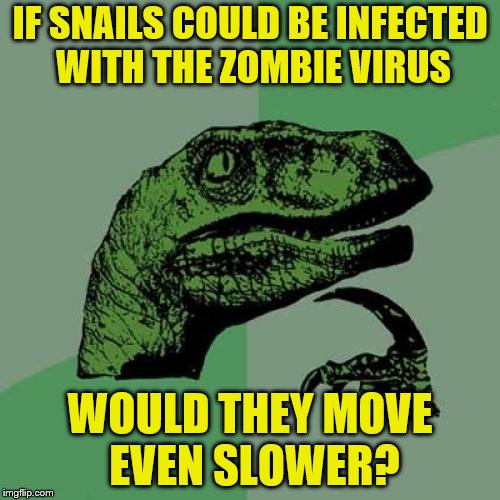 Finally, a zombie I could outrun. | IF SNAILS COULD BE INFECTED WITH THE ZOMBIE VIRUS; WOULD THEY MOVE EVEN SLOWER? | image tagged in memes,philosoraptor,zombies,snail,too slow | made w/ Imgflip meme maker