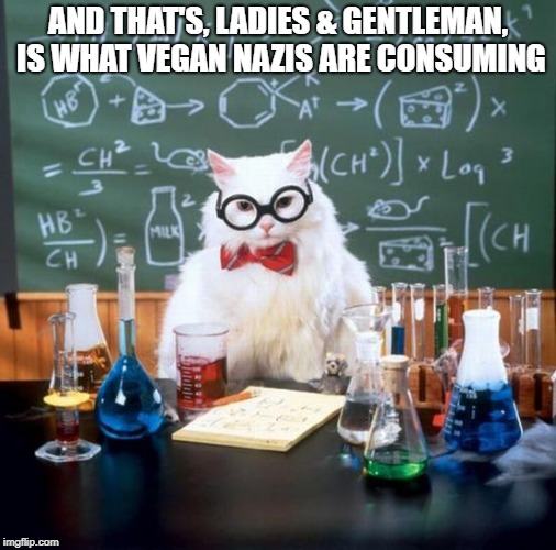 Chemistry Cat | AND THAT'S, LADIES & GENTLEMAN, IS WHAT VEGAN NAZIS ARE CONSUMING | image tagged in memes,chemistry cat | made w/ Imgflip meme maker