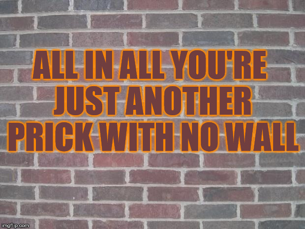 Prick Wall | ALL IN ALL YOU'RE JUST ANOTHER PRICK WITH NO WALL | image tagged in the wall,memes,donald trump is an idiot,pink floyd,trump wall | made w/ Imgflip meme maker