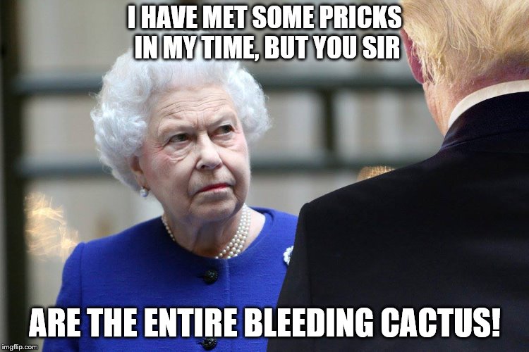 You go girl! Gotta respect someone who has been in power almost longer than you've been alive! | I HAVE MET SOME PRICKS IN MY TIME, BUT YOU SIR; ARE THE ENTIRE BLEEDING CACTUS! | image tagged in memes,dump trump,royal family,political meme,queen elizabeth,donald trump is an idiot | made w/ Imgflip meme maker
