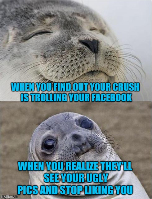 Awkward moment seal | WHEN YOU FIND OUT YOUR CRUSH IS TROLLING YOUR FACEBOOK; WHEN YOU REALIZE THEY'LL SEE YOUR UGLY PICS AND STOP LIKING YOU | image tagged in awkward moment seal,jbmemegeek,when your crush,facebook | made w/ Imgflip meme maker
