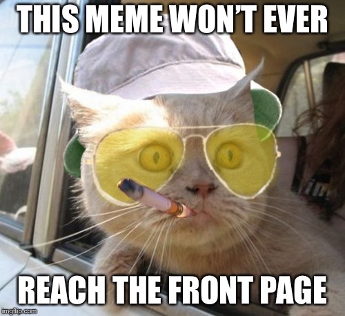 Fear And Loathing Cat | THIS MEME WON’T EVER; REACH THE FRONT PAGE | image tagged in memes,fear and loathing cat | made w/ Imgflip meme maker