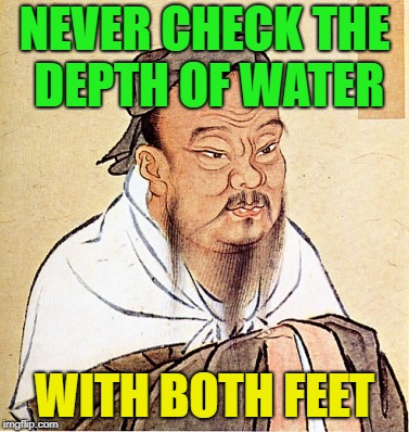 wise confusius | NEVER CHECK THE DEPTH OF WATER; WITH BOTH FEET | image tagged in wise confusius,memes,funny,logic | made w/ Imgflip meme maker