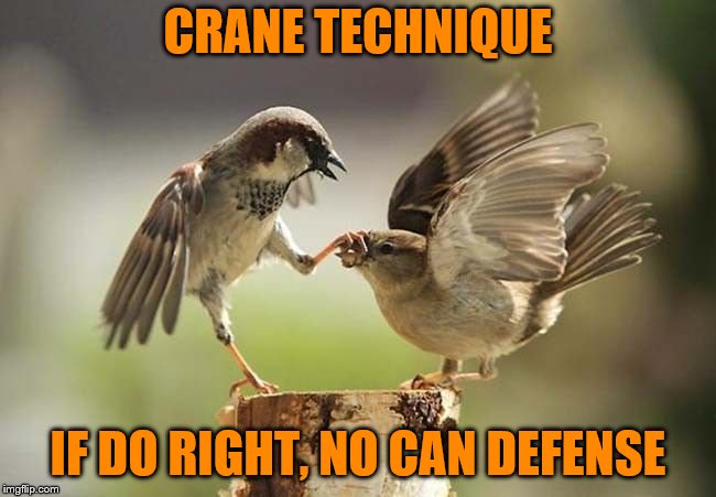 I miss Mr. Miyagi | CRANE TECHNIQUE; IF DO RIGHT, NO CAN DEFENSE | image tagged in birds shut up,memes,crane technique,crane kick,karate kid,mr miyagi | made w/ Imgflip meme maker