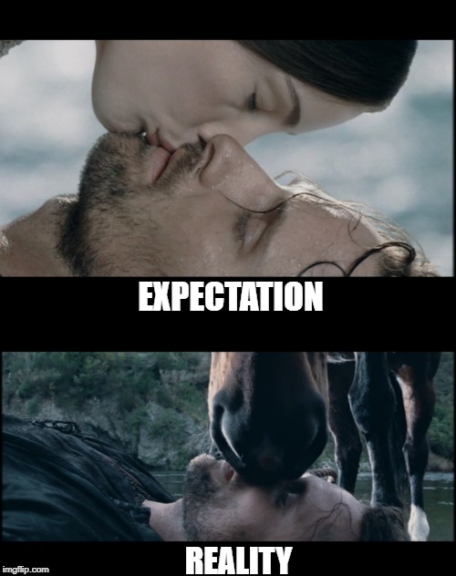 first kiss be like | EXPECTATION; REALITY | image tagged in lotr,tolkien,kiss,kissing,romantic kiss,the lord of the rings | made w/ Imgflip meme maker