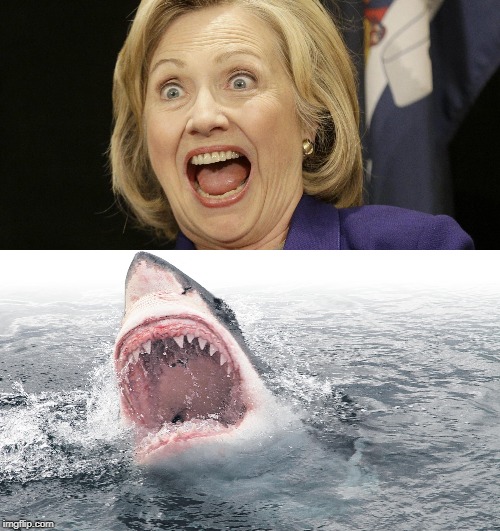 In Honour Of Shark Week | image tagged in hillary,jaws,funny meme | made w/ Imgflip meme maker