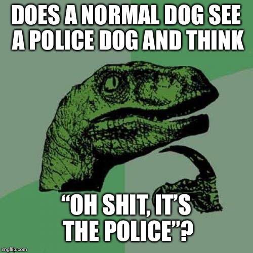 Philosoraptor | DOES A NORMAL DOG SEE A POLICE DOG AND THINK; “OH SHIT, IT’S THE POLICE”? | image tagged in memes,philosoraptor | made w/ Imgflip meme maker