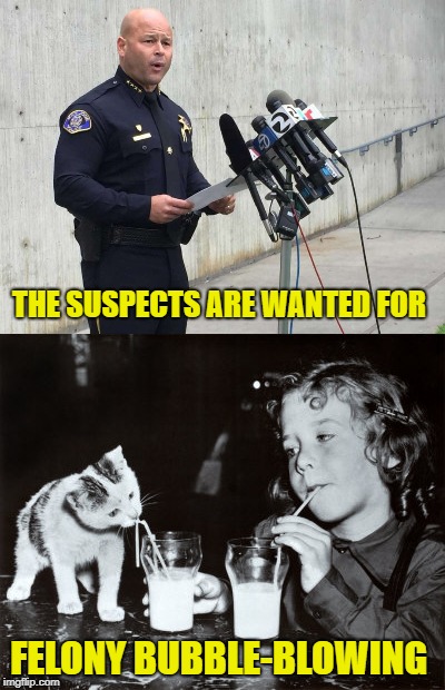 Straw Crime Wave | THE SUSPECTS ARE WANTED FOR; FELONY BUBBLE-BLOWING | image tagged in funny memes,straws,cop,cat,girl | made w/ Imgflip meme maker