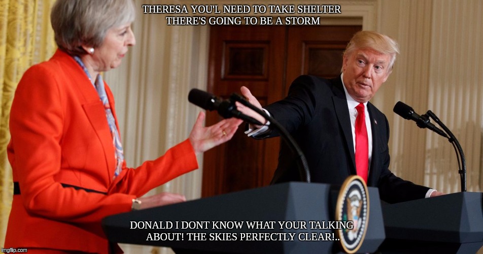 #THESTORM | THERESA YOU'L NEED TO TAKE SHELTER THERE'S GOING TO BE A STORM; DONALD I DONT KNOW WHAT YOUR TALKING ABOUT! THE SKIES PERFECTLY CLEAR!.. | image tagged in heroes of the storm,theresa may,donald trump,the great awakening | made w/ Imgflip meme maker