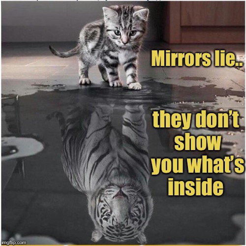 Tigers Week!  | Mirrors lie.. they don’t show you what’s inside | image tagged in tiger week 2018,inspirational quote,inspirational,dream big | made w/ Imgflip meme maker
