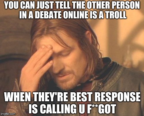 God, Do they stereotype themselves | YOU CAN JUST TELL THE OTHER PERSON IN A DEBATE ONLINE IS A TROLL; WHEN THEY'RE BEST RESPONSE IS CALLING U F**GOT | image tagged in memes,frustrated boromir,trolls | made w/ Imgflip meme maker
