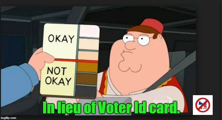 In lieu of Voter Id card. | image tagged in family guy,family guy peter,voter id,voter fraud | made w/ Imgflip meme maker