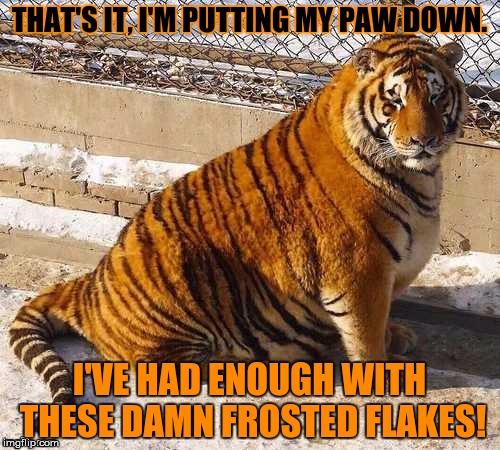 Fat Tony - Tiger Week 2018, July 29 - August 5, a TigerLegend1046 event | H | image tagged in memes,tiger week,tiger week 2018,tony the tiger,frosted flakes,fat | made w/ Imgflip meme maker