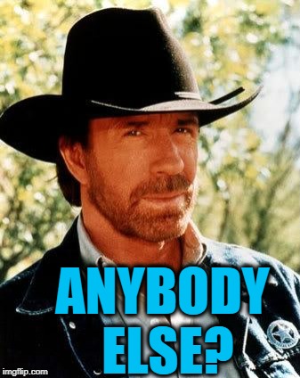 Chuck Norris Meme | ANYBODY ELSE? | image tagged in memes,chuck norris | made w/ Imgflip meme maker