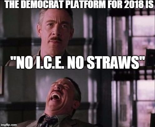 The Democrat platform for 2018? | THE DEMOCRAT PLATFORM FOR 2018 IS; "NO I.C.E. NO STRAWS" | image tagged in j jonah jameson,abolish ice,straw ban,illegal immigration,democrats,memes | made w/ Imgflip meme maker