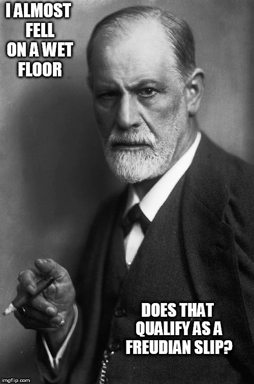 Sigmund Freud | I ALMOST FELL ON A WET FLOOR; DOES THAT QUALIFY AS A FREUDIAN SLIP? | image tagged in memes,sigmund freud | made w/ Imgflip meme maker