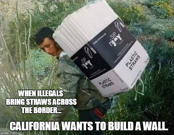 That's the last straw! | WHEN ILLEGALS BRING STRAWS ACROSS THE BORDER... CALIFORNIA WANTS TO BUILD A WALL. | image tagged in straws,secure the border,funny,conservatives,politics,california | made w/ Imgflip meme maker
