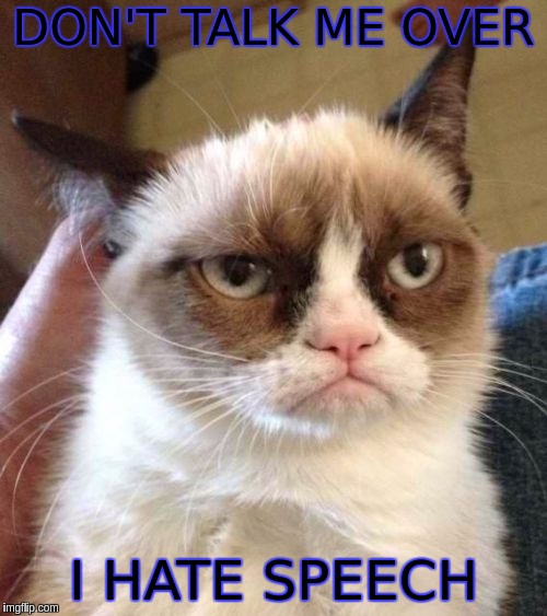 Grumpy Cat Reverse | DON'T TALK ME OVER; I HATE SPEECH | image tagged in memes,grumpy cat reverse,grumpy cat | made w/ Imgflip meme maker