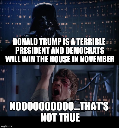How Trump supporters have reacted to the special election results | DONALD TRUMP IS A TERRIBLE PRESIDENT AND DEMOCRATS WILL WIN THE HOUSE IN NOVEMBER; NOOOOOOOOOO...THAT'S NOT TRUE | image tagged in memes,star wars no,donald trump,election | made w/ Imgflip meme maker