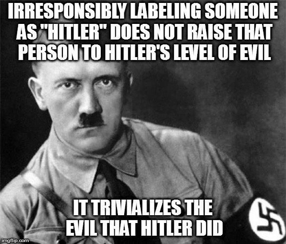 But I'm sure holocaust victims would appreciate the idea that being disagreed with is equal to having your skin melted off | IRRESPONSIBLY LABELING SOMEONE AS "HITLER" DOES NOT RAISE THAT PERSON TO HITLER'S LEVEL OF EVIL; IT TRIVIALIZES THE EVIL THAT HITLER DID | image tagged in memes,political,hitler,irresponsible | made w/ Imgflip meme maker