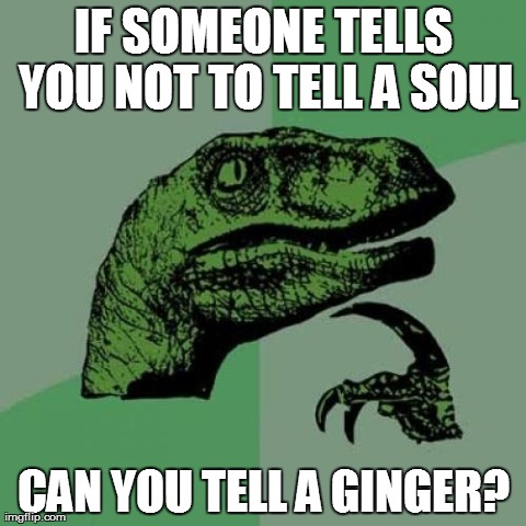 Philosoraptor Meme | IF SOMEONE TELLS YOU NOT TO TELL A SOUL CAN YOU TELL A GINGER? | image tagged in memes,philosoraptor | made w/ Imgflip meme maker