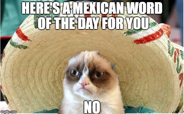 Grumpy Mexican Cat | HERE'S A MEXICAN WORD OF THE DAY FOR YOU; NO | image tagged in mexico,mexican,grumpy cat,mexican word of the day | made w/ Imgflip meme maker