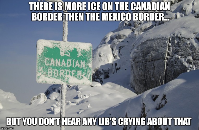 And i thought they cried about anything | THERE IS MORE ICE ON THE CANADIAN BORDER THEN THE MEXICO BORDER... BUT YOU DON'T HEAR ANY LIB'S CRYING ABOUT THAT | image tagged in usa,mexico wall,canada,secure the border,open borders,ice | made w/ Imgflip meme maker