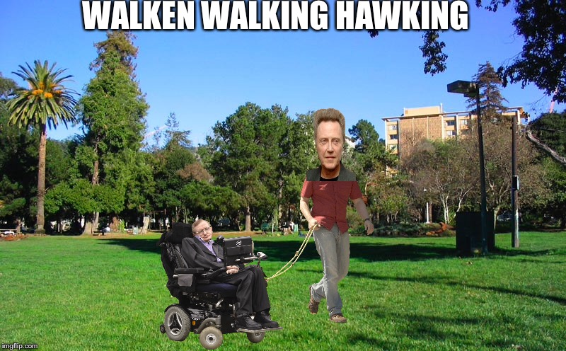 Everyone said this meme is stupid and not funny and I shouldn’t make it , I sure showed them | WALKEN WALKING HAWKING | image tagged in christopher walken,stephen hawking,dog walking | made w/ Imgflip meme maker