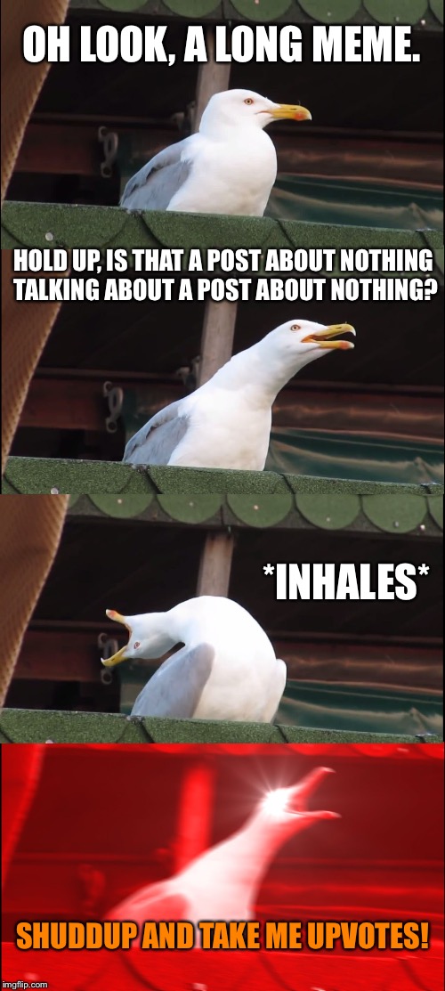 Inhaling Seagull Meme | OH LOOK, A LONG MEME. HOLD UP, IS THAT A POST ABOUT NOTHING TALKING ABOUT A POST ABOUT NOTHING? *INHALES* SHUDDUP AND TAKE ME UPVOTES! | image tagged in memes,inhaling seagull | made w/ Imgflip meme maker