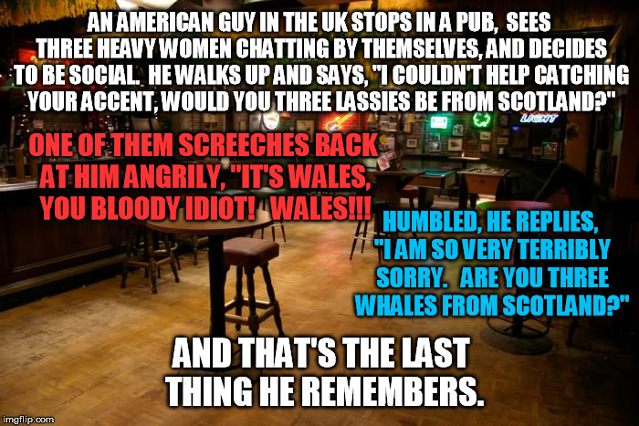 Loved this one, just had to be memed... | AN AMERICAN GUY IN THE UK STOPS IN A PUB,  SEES THREE HEAVY WOMEN CHATTING BY THEMSELVES, AND DECIDES TO BE SOCIAL.  HE WALKS UP AND SAYS, "I COULDN'T HELP CATCHING YOUR ACCENT, WOULD YOU THREE LASSIES BE FROM SCOTLAND?"; ONE OF THEM SCREECHES BACK AT HIM ANGRILY, "IT'S WALES, YOU BLOODY IDIOT!   WALES!!! HUMBLED, HE REPLIES, "I AM SO VERY TERRIBLY SORRY.   ARE YOU THREE WHALES FROM SCOTLAND?"; AND THAT'S THE LAST THING HE REMEMBERS. | image tagged in bad joke,wales,scotland,america,british | made w/ Imgflip meme maker
