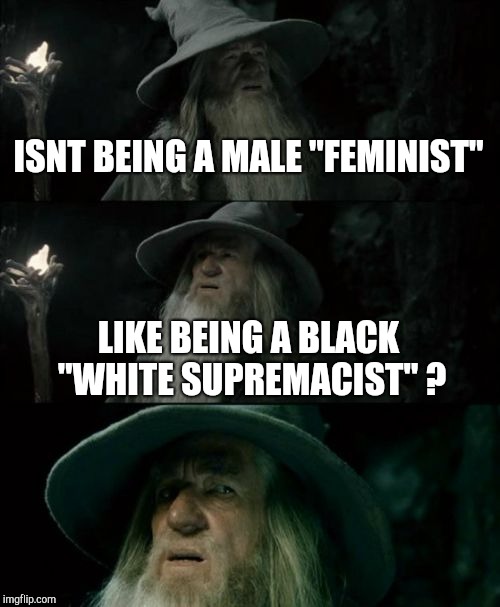 Can't there be only one? | ISNT BEING A MALE "FEMINIST"; LIKE BEING A BLACK "WHITE SUPREMACIST" ? | image tagged in memes,confused gandalf,feminism,white supremacy,irony | made w/ Imgflip meme maker