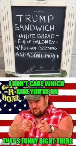 It cracks me up anyways...LOL | I DON'T CARE WHICH SIDE YOU'RE ON; THAT'S FUNNY RIGHT THERE | image tagged in trump sandwich,memes,trump,funny,larry the cable guy,git r done | made w/ Imgflip meme maker