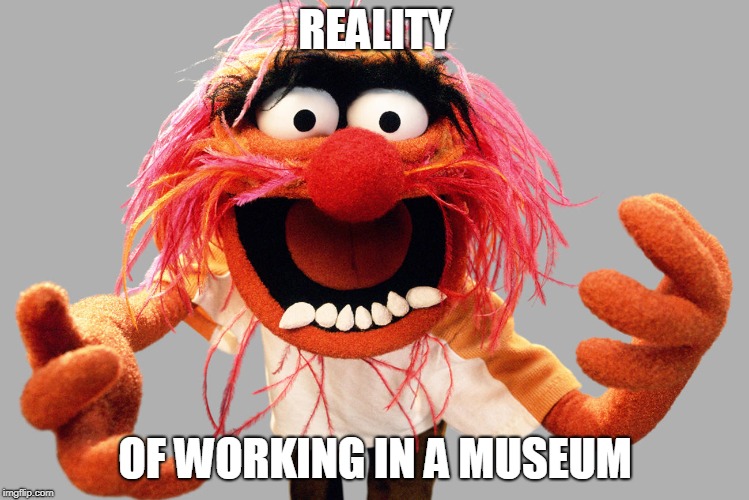 animal muppets | REALITY; OF WORKING IN A MUSEUM | image tagged in animal muppets | made w/ Imgflip meme maker