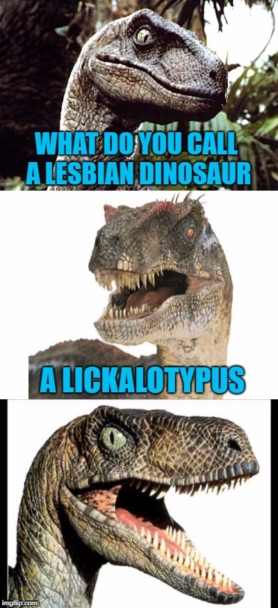 Bad Pun Velociraptor | WHAT DO YOU CALL A LESBIAN DINOSAUR A LICKALOTYPUS | image tagged in bad pun velociraptor | made w/ Imgflip meme maker