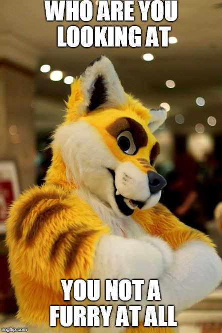Furry | WHO ARE YOU LOOKING AT; YOU NOT A FURRY AT ALL | image tagged in furry,2018 | made w/ Imgflip meme maker