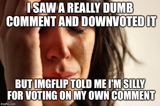First World Problems | I SAW A REALLY DUMB COMMENT AND DOWNVOTED IT; BUT IMGFLIP TOLD ME I'M SILLY FOR VOTING ON MY OWN COMMENT | image tagged in memes,first world problems | made w/ Imgflip meme maker