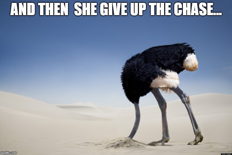 Ostrich head in sand | AND THEN  SHE GIVE UP THE CHASE... | image tagged in ostrich head in sand | made w/ Imgflip meme maker