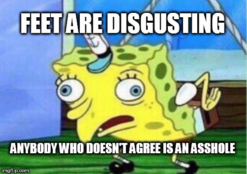 Mocking Spongebob | FEET ARE DISGUSTING; ANYBODY WHO DOESN'T AGREE IS AN ASSHOLE | image tagged in memes,mocking spongebob,foot,feet,foot fetish,fetish | made w/ Imgflip meme maker