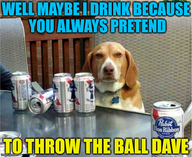 This dog is scarred from the fake throw the ball trick. | WELL MAYBE I DRINK BECAUSE YOU ALWAYS PRETEND; TO THROW THE BALL DAVE | image tagged in memes,drinking,relationships,dog,funny dog,beer | made w/ Imgflip meme maker