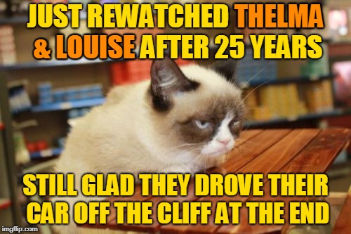 Could've Saved Time and Just Read the CliffsNotes - inspired by superdenni. | THELMA; JUST REWATCHED THELMA & LOUISE AFTER 25 YEARS; & LOUISE; STILL GLAD THEY DROVE THEIR CAR OFF THE CLIFF AT THE END | image tagged in memes,grumpy cat table,grumpy cat,rewatched,movies,superdenni | made w/ Imgflip meme maker