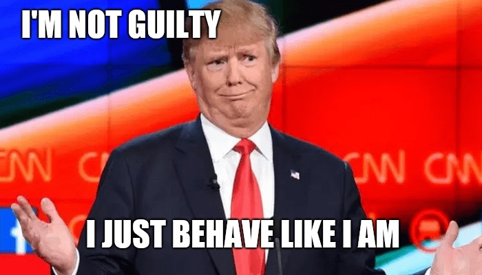 Trump guilty?  | I'M NOT GUILTY; I JUST BEHAVE LIKE I AM | image tagged in memes,funny memes,trump meme,impeach trump,trump lies,donald trump | made w/ Imgflip meme maker