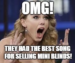 omg | OMG! THEY HAD THE BEST SONG FOR SELLING MINI BLINDS! | image tagged in omg | made w/ Imgflip meme maker