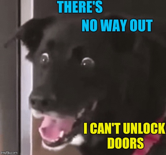 THERE'S NO WAY OUT I CAN'T UNLOCK DOORS | made w/ Imgflip meme maker