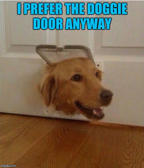 wtf dog | I PREFER THE DOGGIE DOOR ANYWAY | image tagged in wtf dog | made w/ Imgflip meme maker