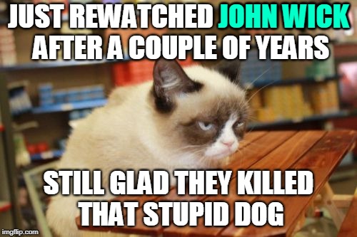 Pass the Popcorn, Please | JOHN WICK; JUST REWATCHED JOHN WICK AFTER A COUPLE OF YEARS; STILL GLAD THEY KILLED THAT STUPID DOG | image tagged in memes,grumpy cat table,grumpy cat,movies,rewatched,keanu reeves | made w/ Imgflip meme maker